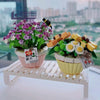 Baby's Breath & Daisy Flower Pot | LOZ 1674 Mini Block Eternal Micro Plants Set for Ages 10+