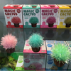 Magic Cactus Crystal