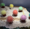Magic Cactus Crystal