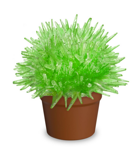 Magic Cactus Crystal
