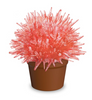 Magic Cactus Crystal