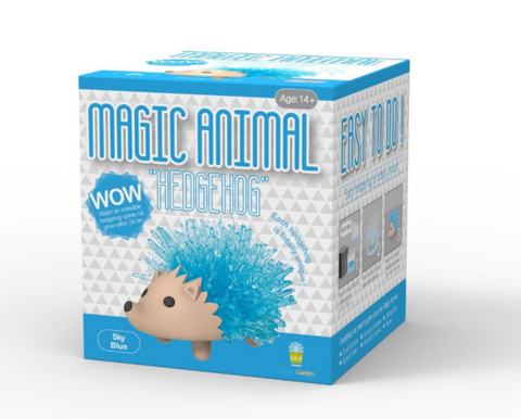 Magic Animal -Crystal Hedgehog