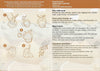STEM Smart Lab  Toys Kit  - Plaster Experiments
