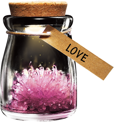 DIY Growing Crystal Wish Flower - SuperSmartChoices - 2