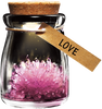 DIY Growing Crystal Wish Flower - SuperSmartChoices - 2