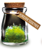 DIY Growing Crystal Wish Flower - SuperSmartChoices - 13