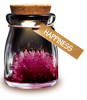 DIY Growing Crystal Wish Flower - SuperSmartChoices - 11