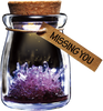 DIY Growing Crystal Wish Flower - SuperSmartChoices - 7