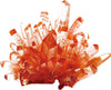 DIY Growing Giant Crystal - SuperSmartChoices - 3